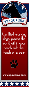 byyoursidenew 100x300 Facebook Sidebar Portfolio