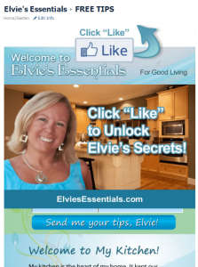 Elvie's Essentials Fan Page Elvies Essentials Fan Page 223x300 Facebook Fan Tastical Page
