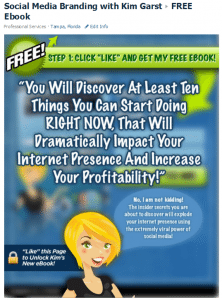 Social Media Branding with Kim Garst Social Media Branding with Kim Garst 222x300 Facebook Fan Tastical Page