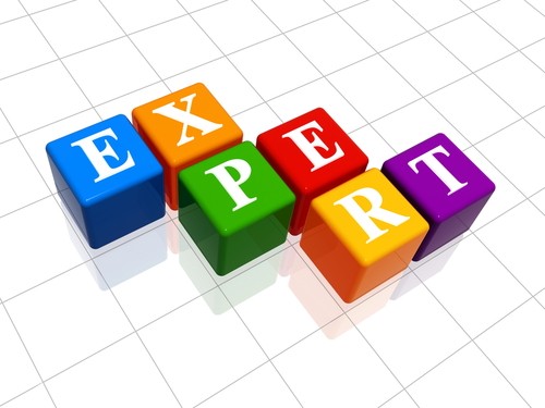 How to Become the Expert in Your Niche