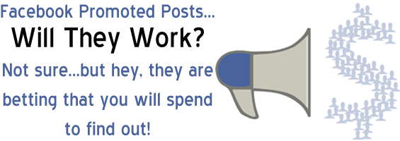 Facebook Releases Promoted Posts for Pages