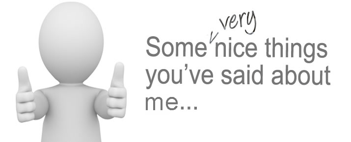 Some Very Nice Things You Have Said About Me…
