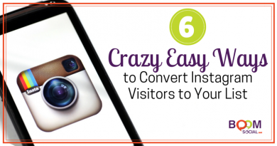 6 Crazy Easy Ways to Convert Instagram Visitors to Your List