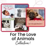 For The Love of Animals Collection 1