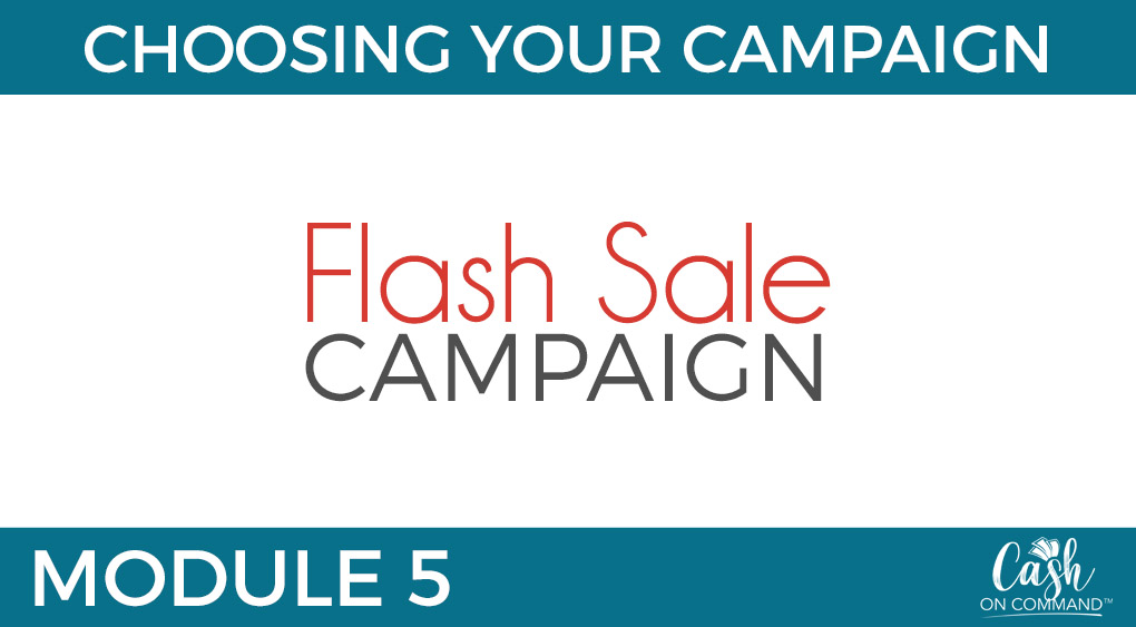 Who Can Do This:
Anyone With Any Size List or Following or Client Base

The Traffic For This Campaign:
Your List and Following, or Client Base

The Offer For This Campaign:
A Great DEAL (Usually Low Ticket)