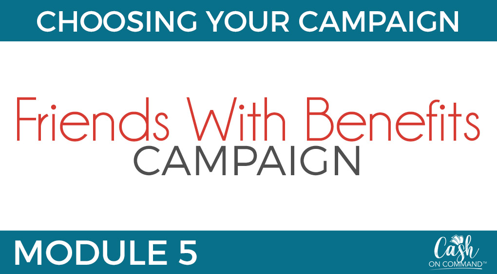 Who Can Do This:
Anyone With Any Size List or Following or Client Base

The Traffic For This Campaign:
Your List and Following, or Client Base

The Offer For This Campaign:
A Great DEAL (Usually Low Ticket)