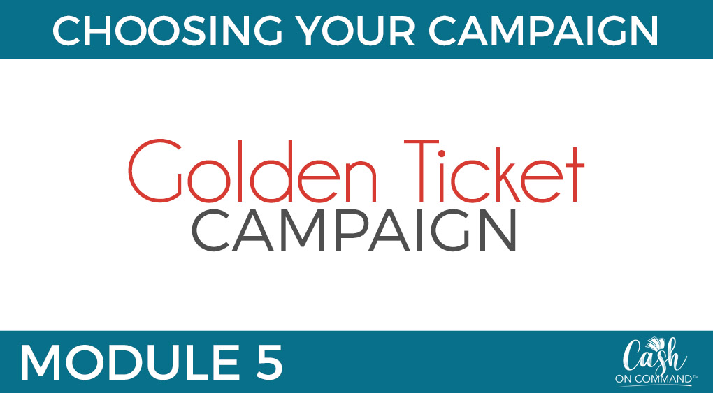 Who Can Do This:
Anyone With Any Size List or Following or Client Base

The Traffic For This Campaign:
Your List and Following, or Client Base

The Offer For This Campaign:
A Great DEAL (Usually Low Ticket)