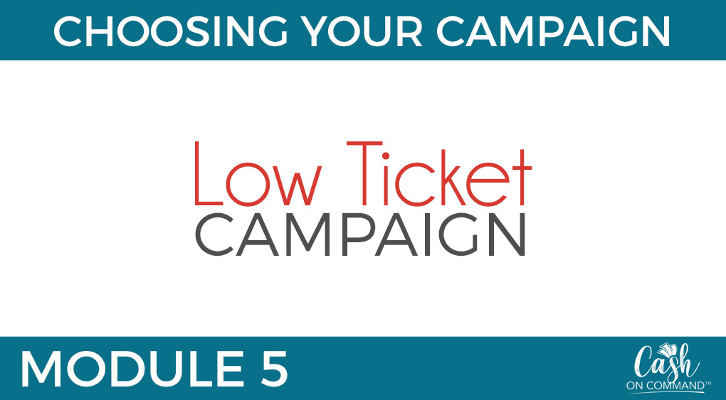 Who Can Do This:
Anyone With Any Size List or Following or Client Base

The Traffic For This Campaign:
Your List and Following, or Client Base

The Offer For This Campaign:
A Great DEAL (Usually Low Ticket)