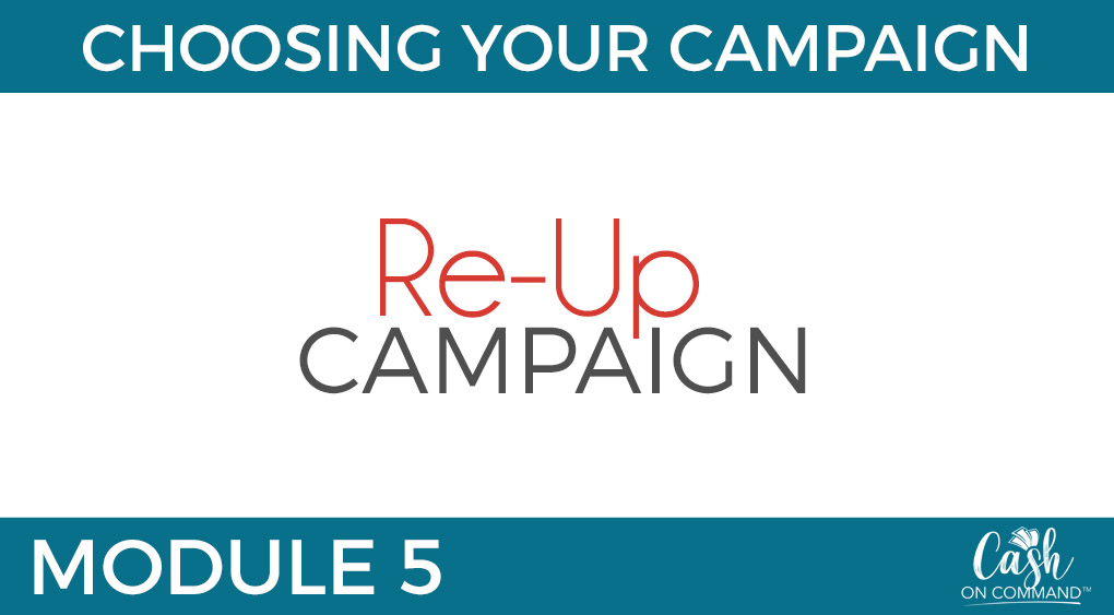 Who Can Do This:
Anyone With Any Size List or Following or Client Base

The Traffic For This Campaign:
Your List and Following, or Client Base

The Offer For This Campaign:
A Great DEAL (Usually Low Ticket)
