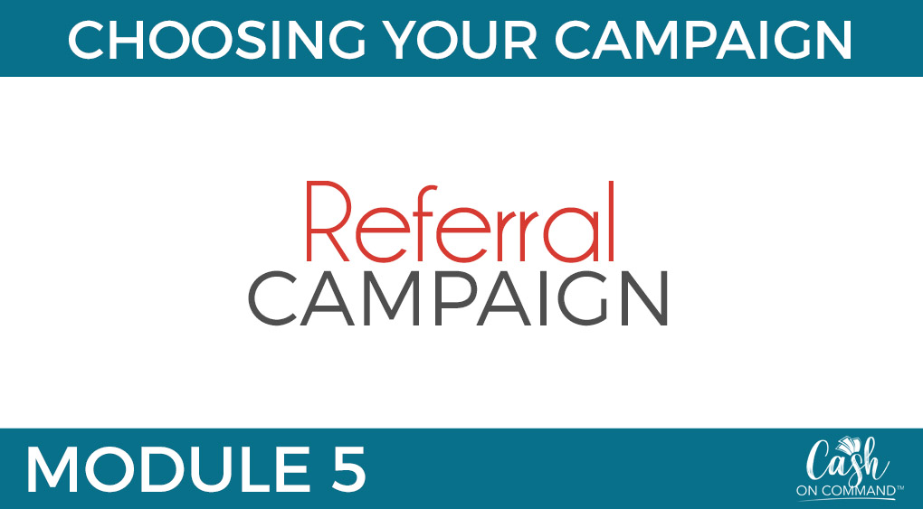 Who Can Do This:
Anyone With Any Size List or Following or Client Base

The Traffic For This Campaign:
Your List and Following, or Client Base

The Offer For This Campaign:
A Great DEAL (Usually Low Ticket)