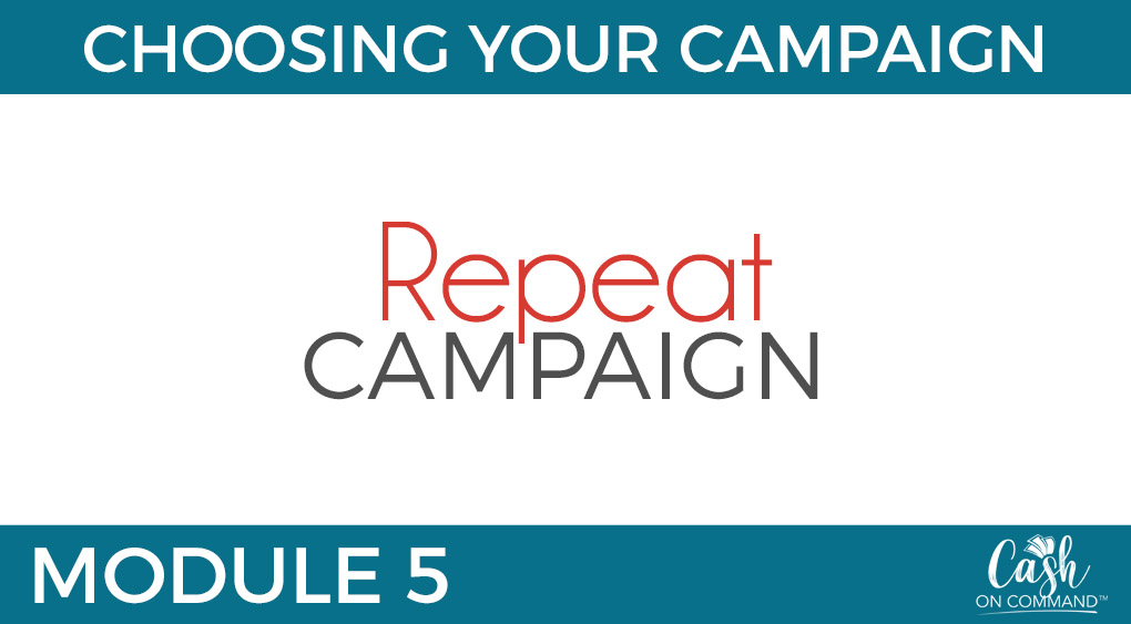 Who Can Do This:
Anyone With Any Size List or Following or Client Base

The Traffic For This Campaign:
Your List and Following, or Client Base

The Offer For This Campaign:
A Great DEAL (Usually Low Ticket)