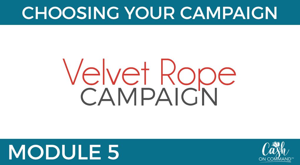 Who Can Do This:
Anyone With Any Size List or Following or Client Base

The Traffic For This Campaign:
Your List and Following, or Client Base

The Offer For This Campaign:
A Great DEAL (Usually Low Ticket)
