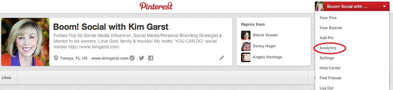 Pinterest Analytics