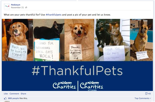 thankfulpets