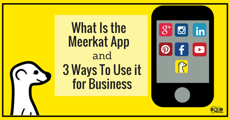 What Is the Meerkat App and 3 Ways to use it for business 