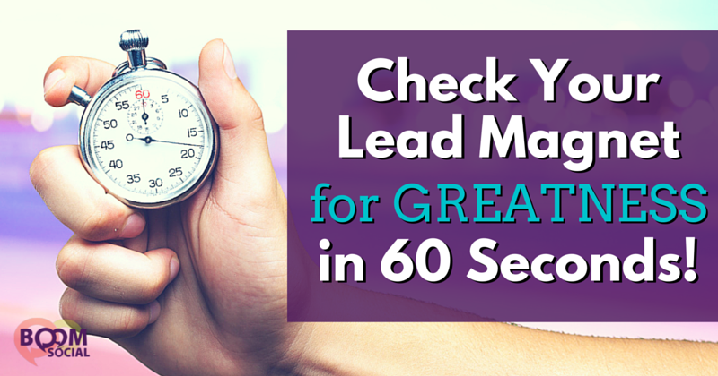 Check-Your-Lead-Magnet-for-GREATNESS-in-60-Seconds